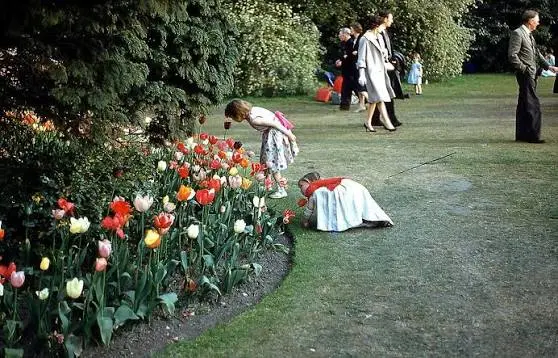 Keukenhof tulip fields Lisse Netherlands private chauffeur tour